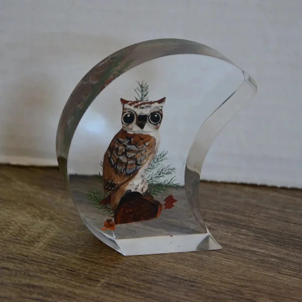Vtg Lucite Encased Wood Owl Paperweight